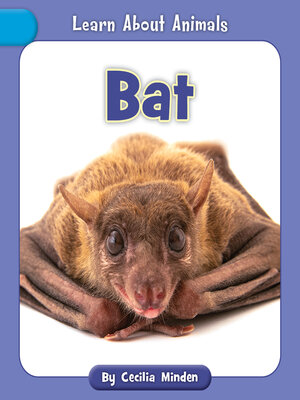 cover image of Bat